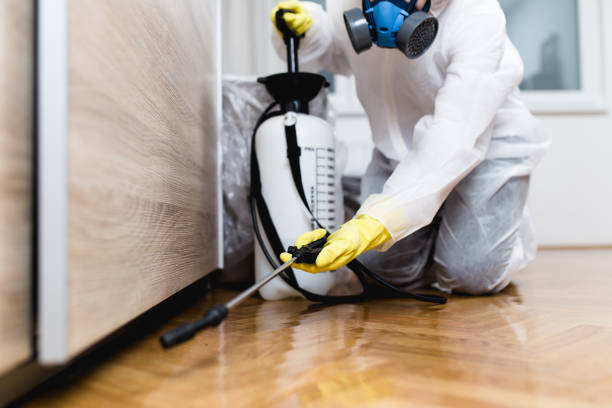 Best Best Pest Control Companies  in Fort Bliss, TX