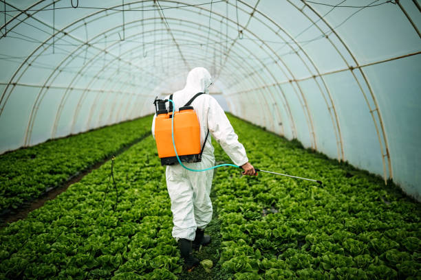  Fort Bliss, TX Pest Control Pros