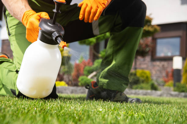 Bird Control in Fort Bliss, TX