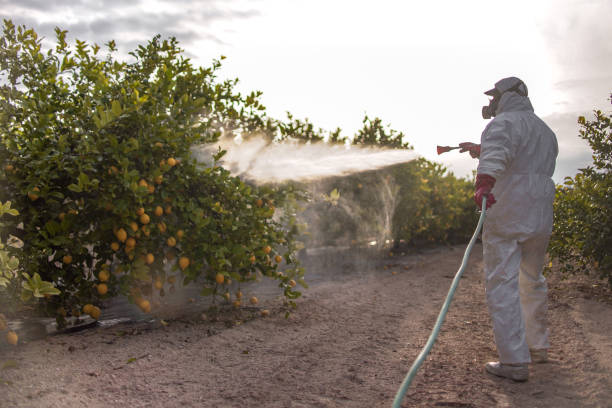 Best Commercial Pest Control Services  in Fort Bliss, TX