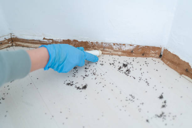 Pest Control for Restaurants in Fort Bliss, TX