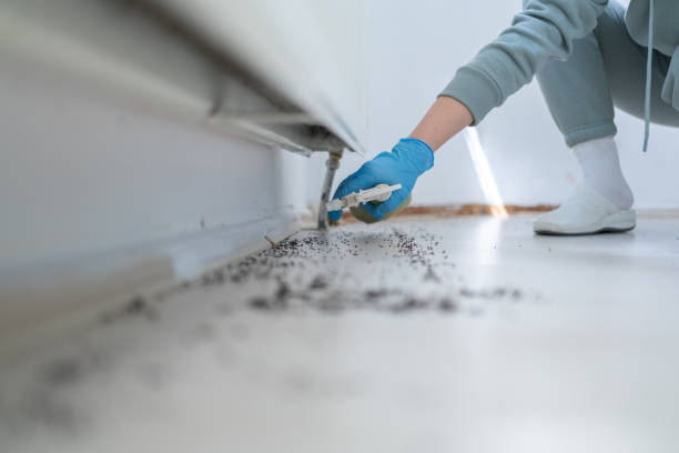 Best Mosquito Control Services  in Fort Bliss, TX