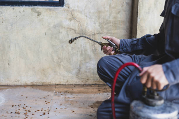 Fort Bliss, TX Pest Control Company