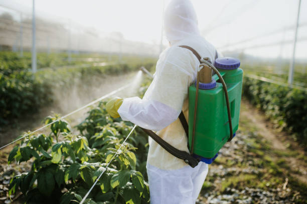 Best Pest Control for Restaurants  in Fort Bliss, TX